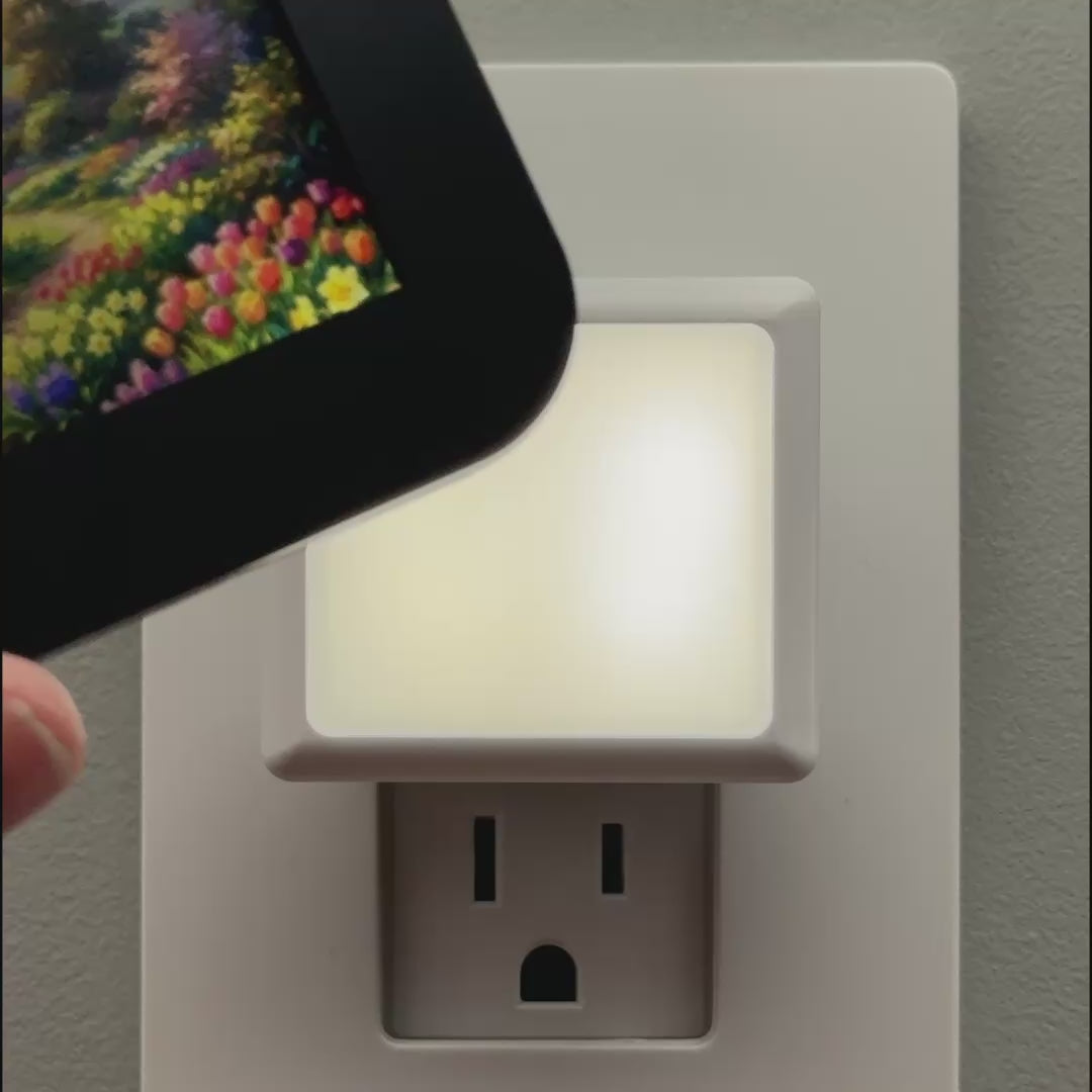 Load video: Flower Path Night Light