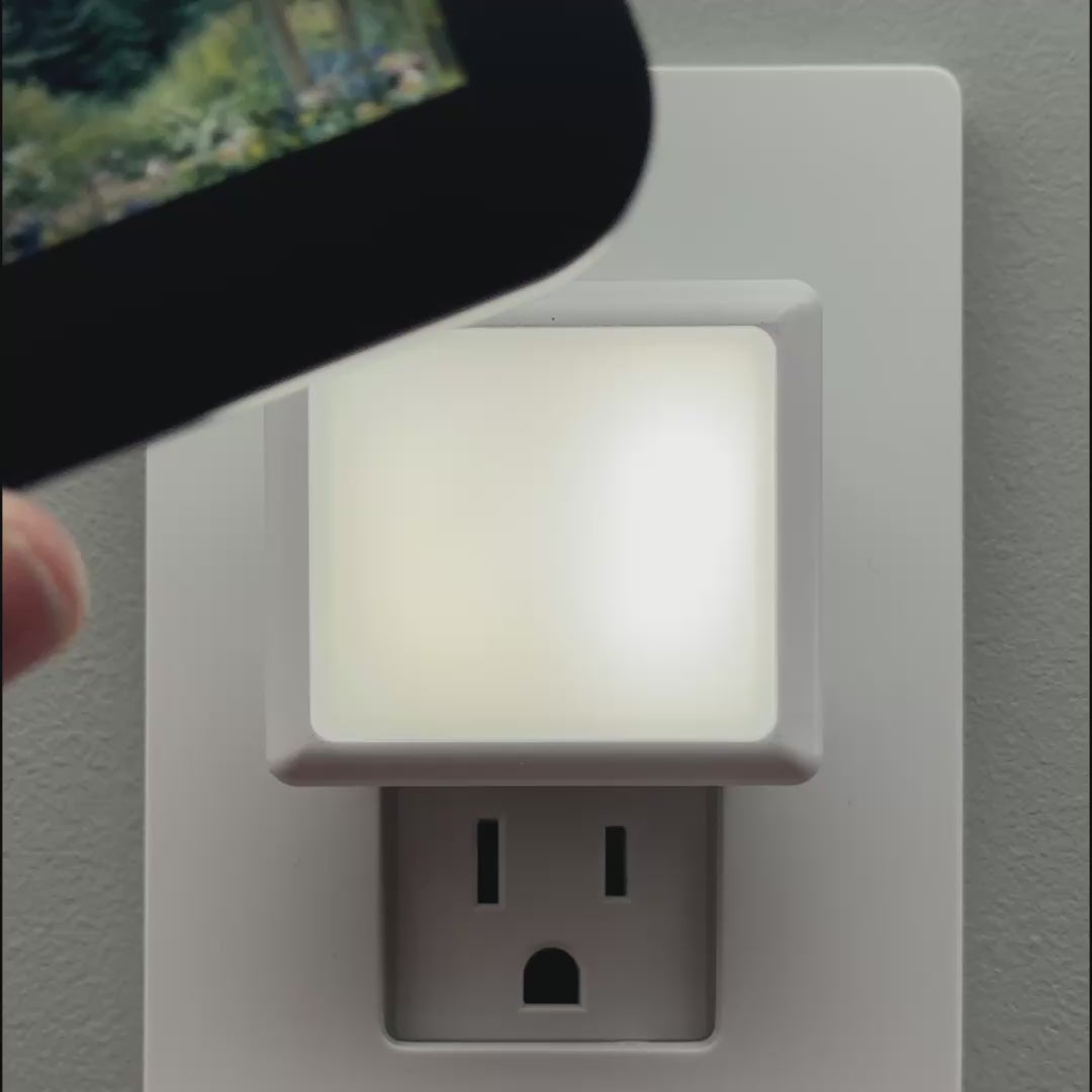 Load video: Evergreen Forest Window Night Light