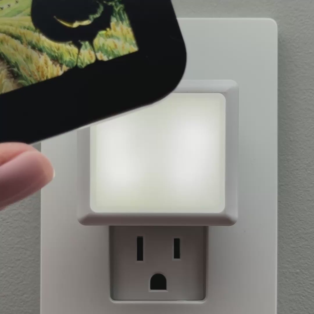 Load video: Chicken and Farm Night Light Cover ONLY