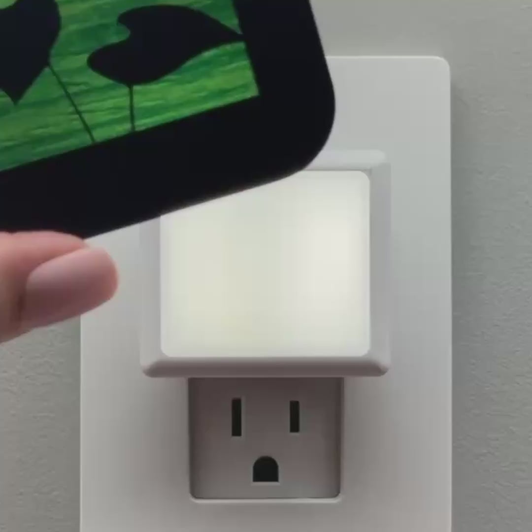 Load video: Philodendron Night Light