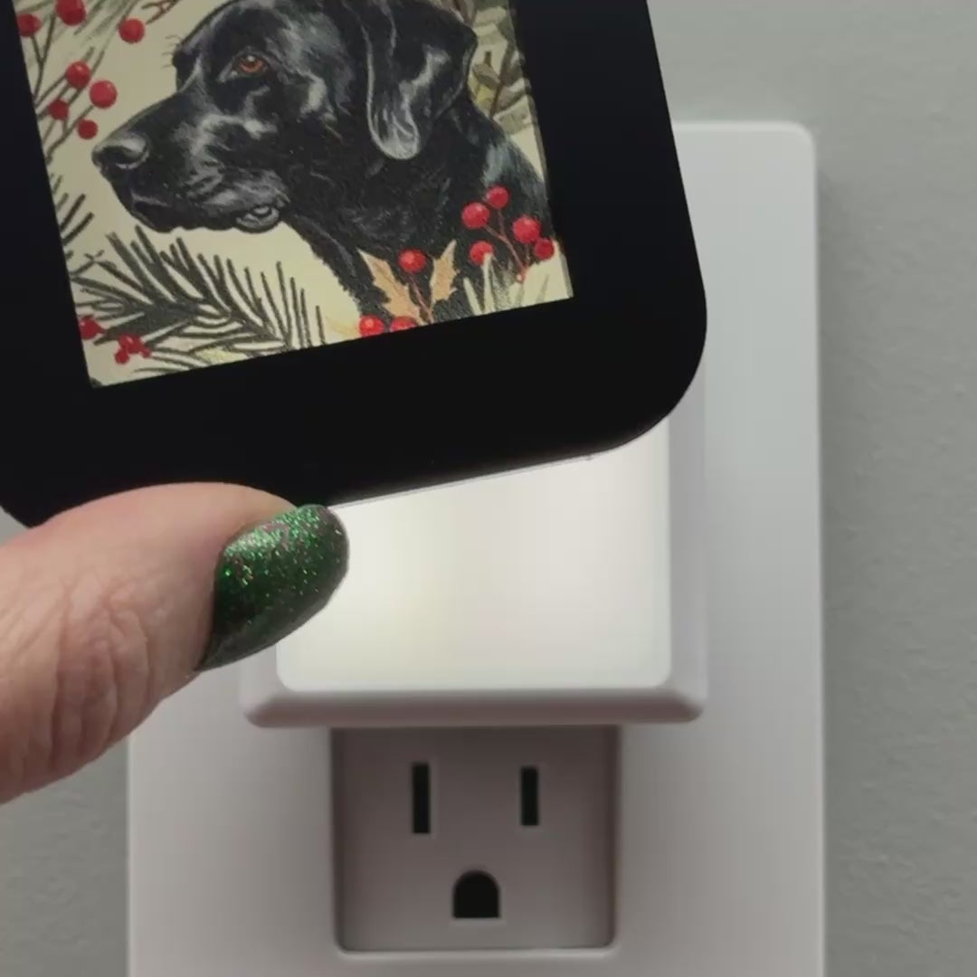 Load video: Christmas Dog Night Light
