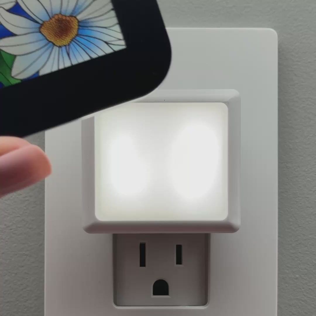 Load video: Daisies Floral Night Light