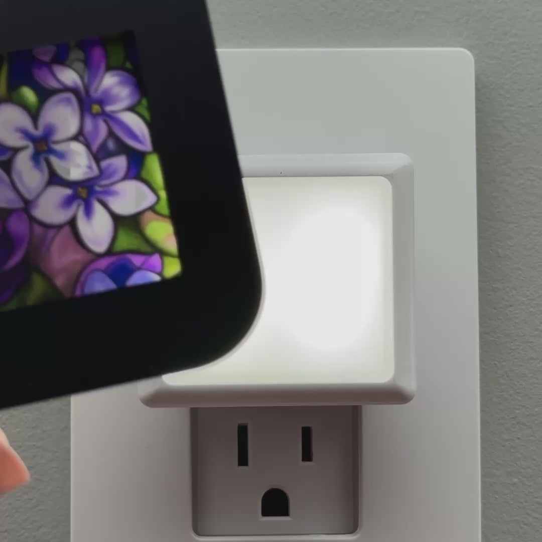 Load video: Lilac Night Light