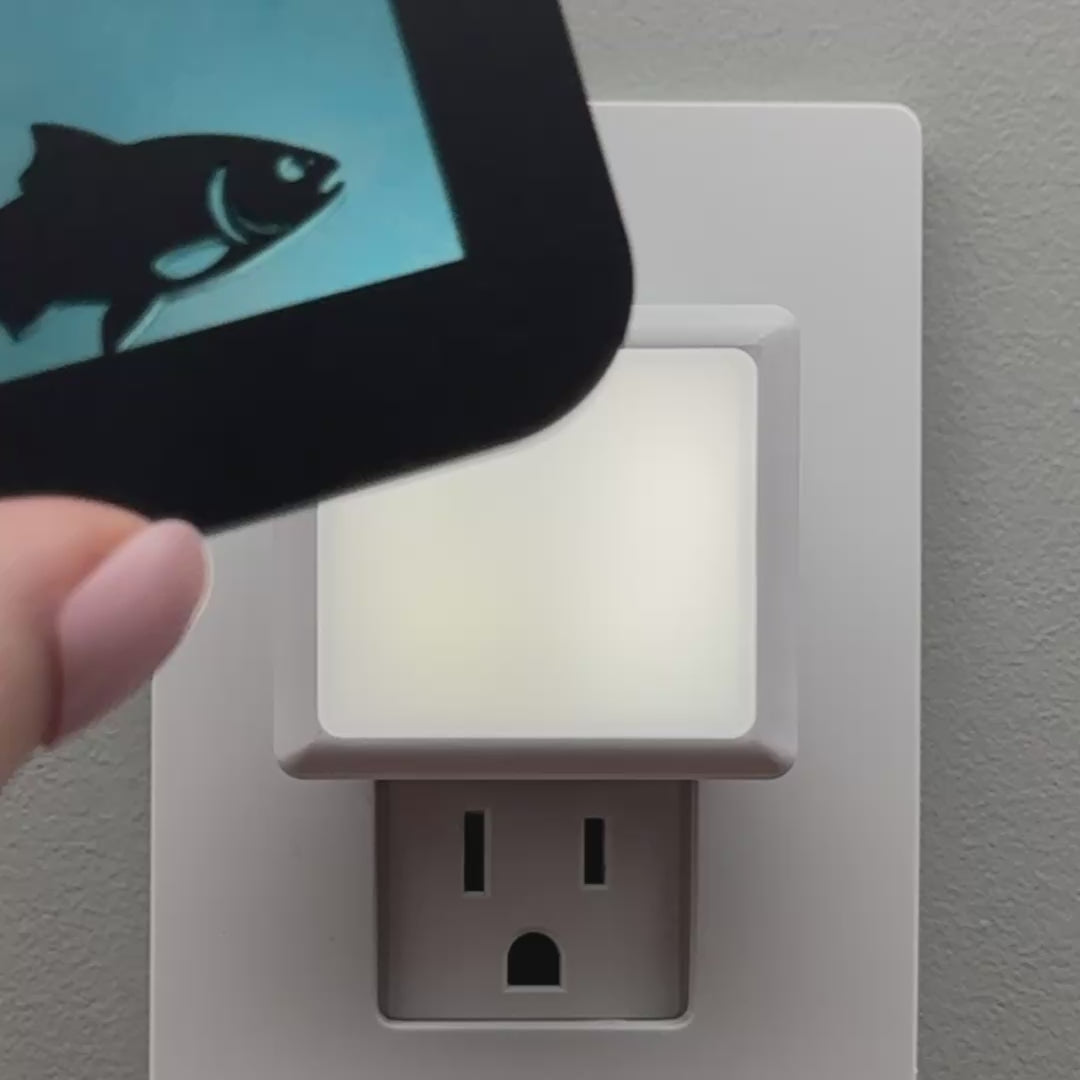 Load video: Fishing Night Light