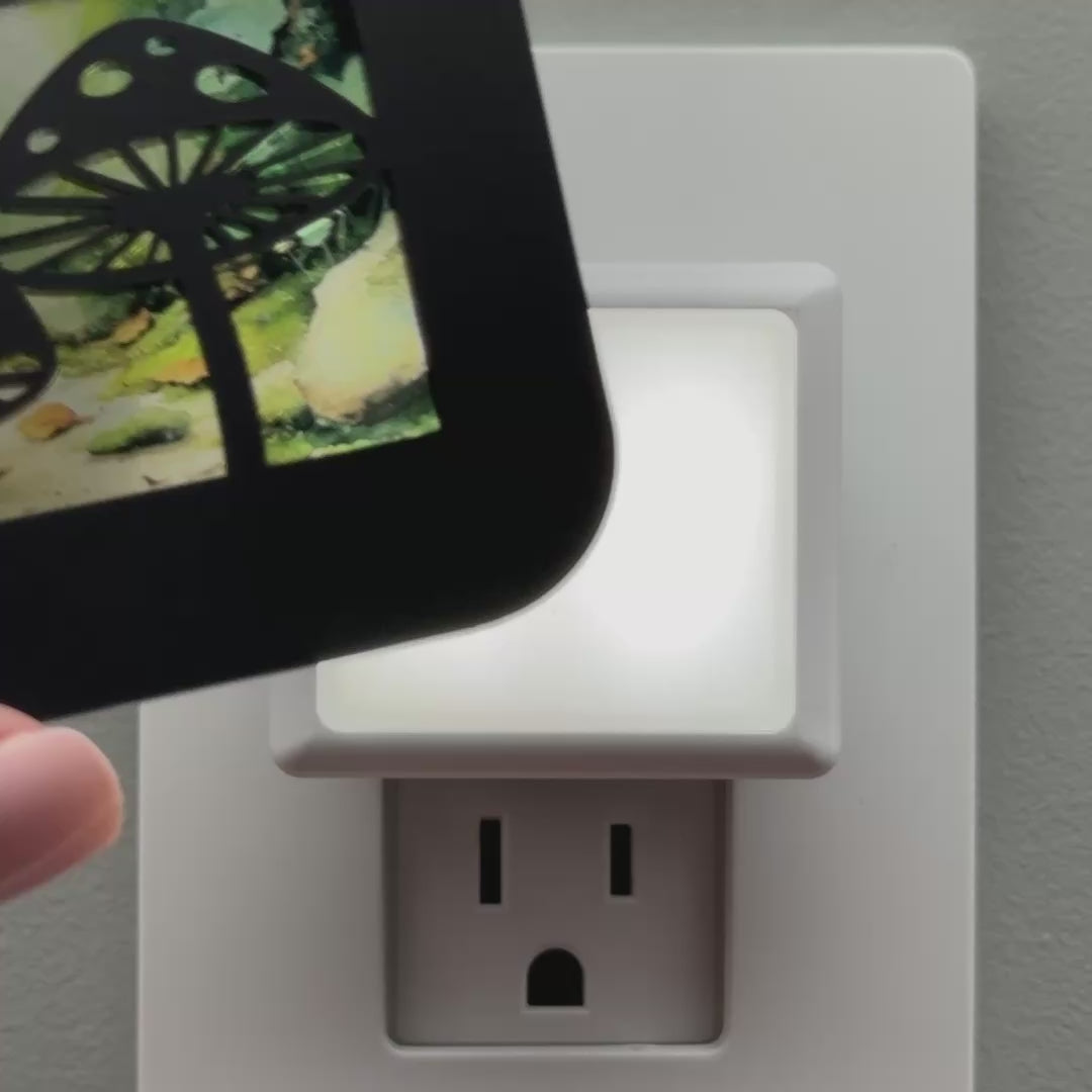 Load video: Mushrooms Night Light