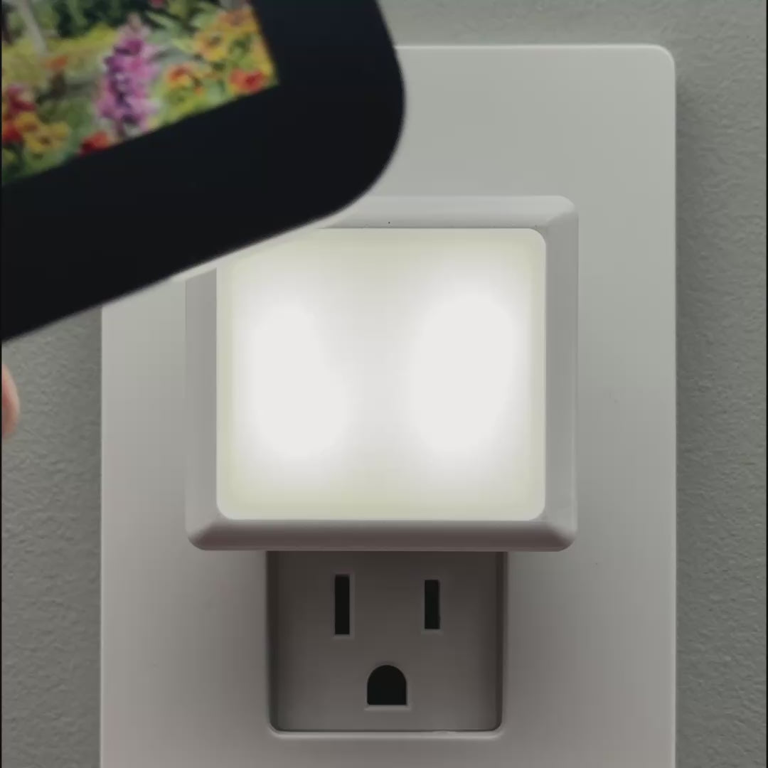 Load video: Mountain Cabin Window Night Light