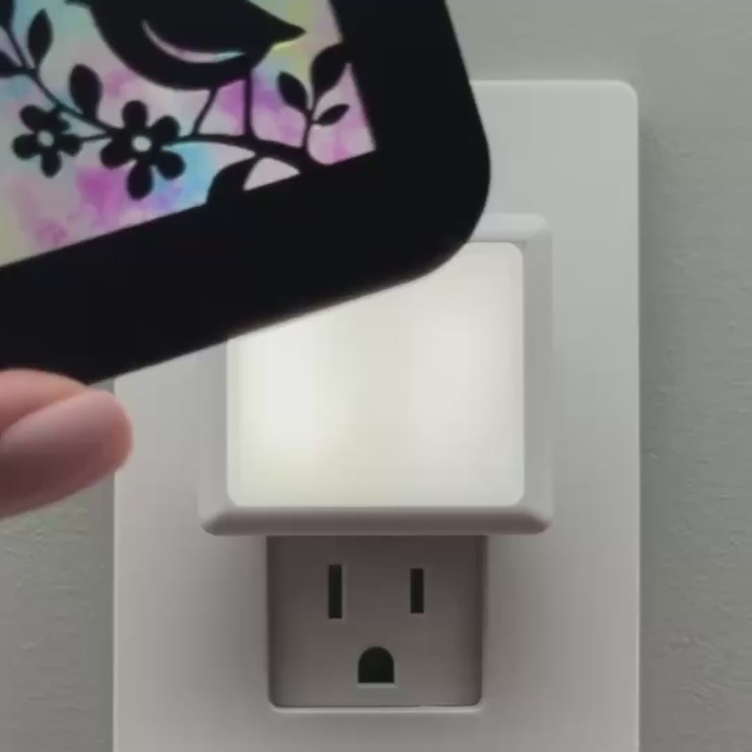 Load video: Bird on Flowering Branch Night Light