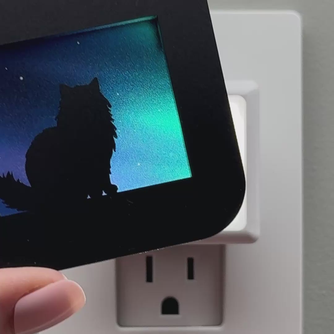 Load video: Fluffy Cat Night Light