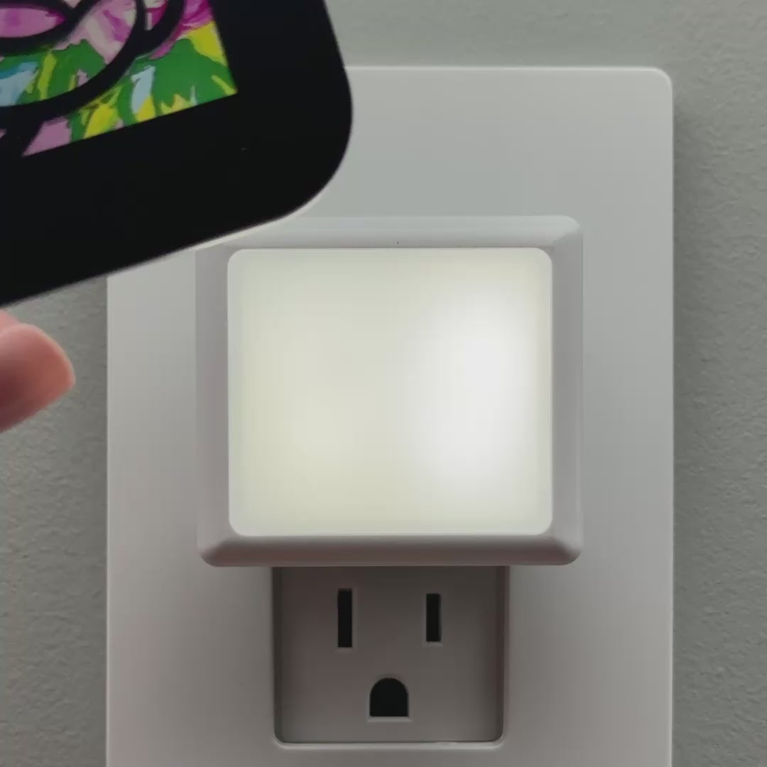 Load video: Rose Night Light Cover ONLY