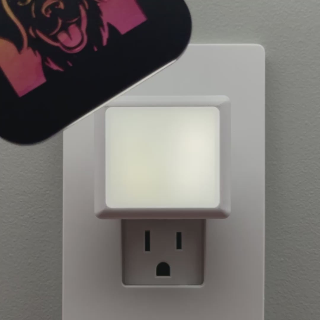 Load video: Golden Retriever Dog Night Light