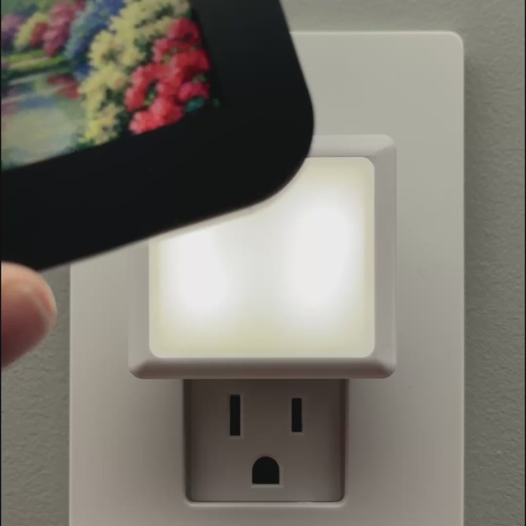 Load video: Azalea Pond Night Light