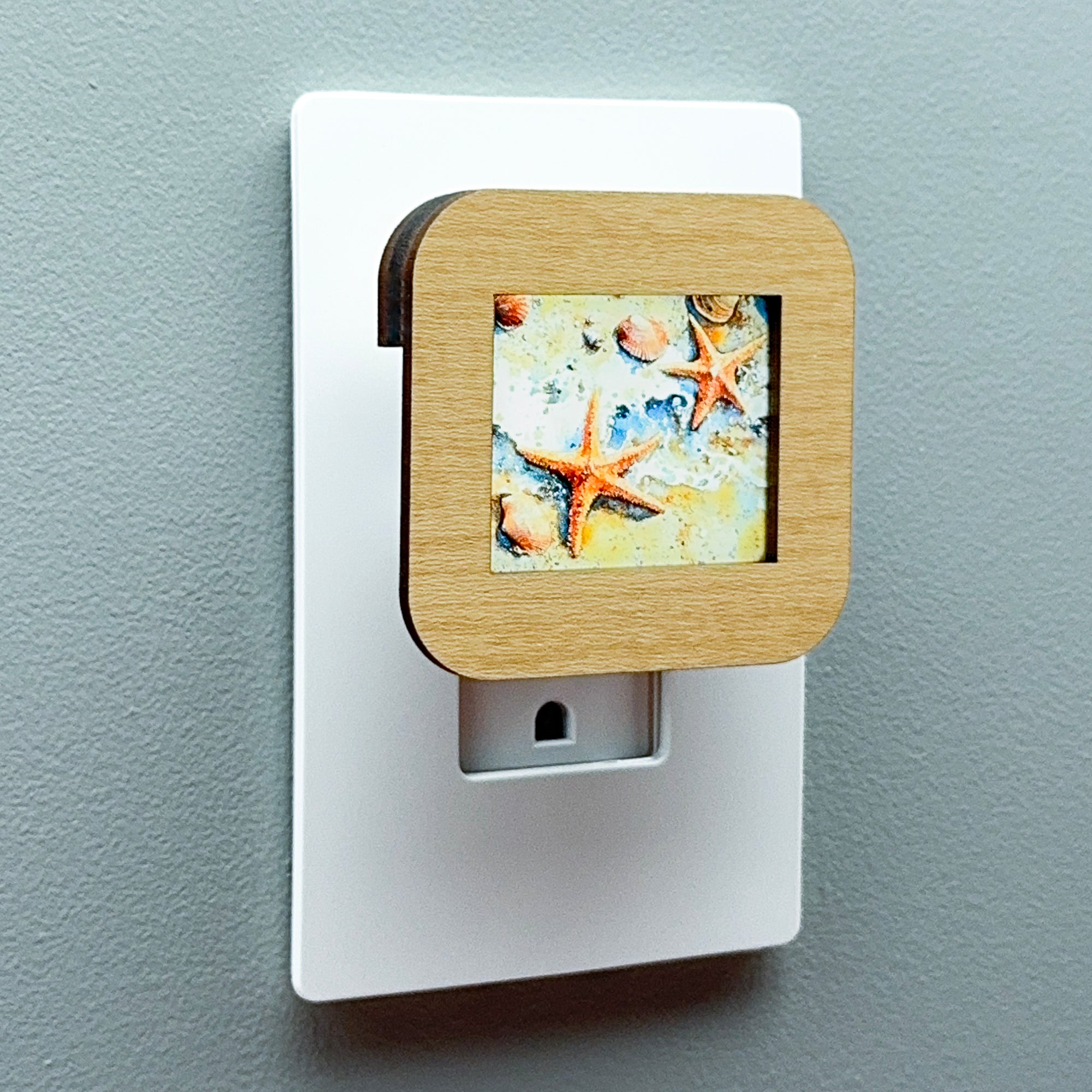 Starfish and Seashells Night Light