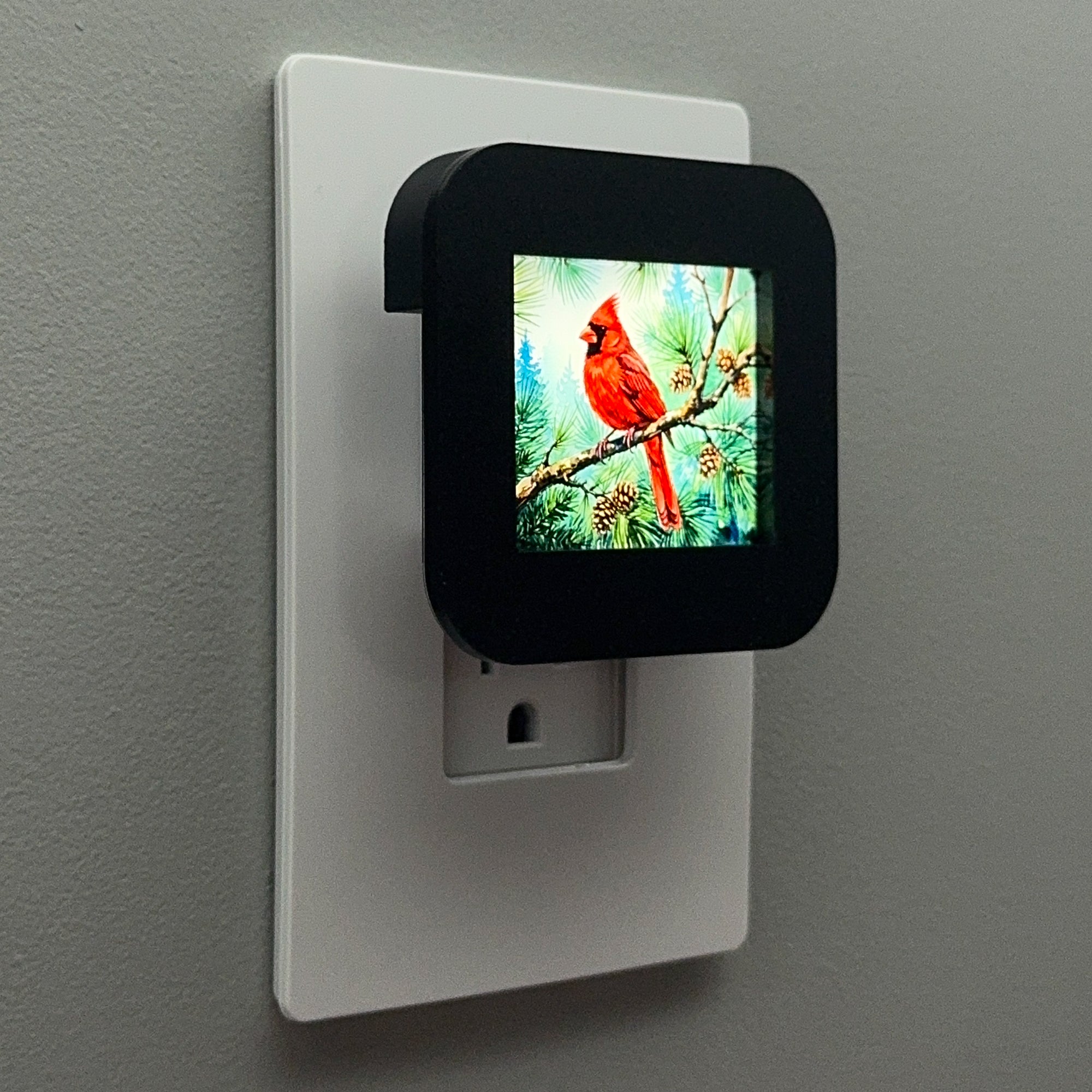 Cardinal Night Light
