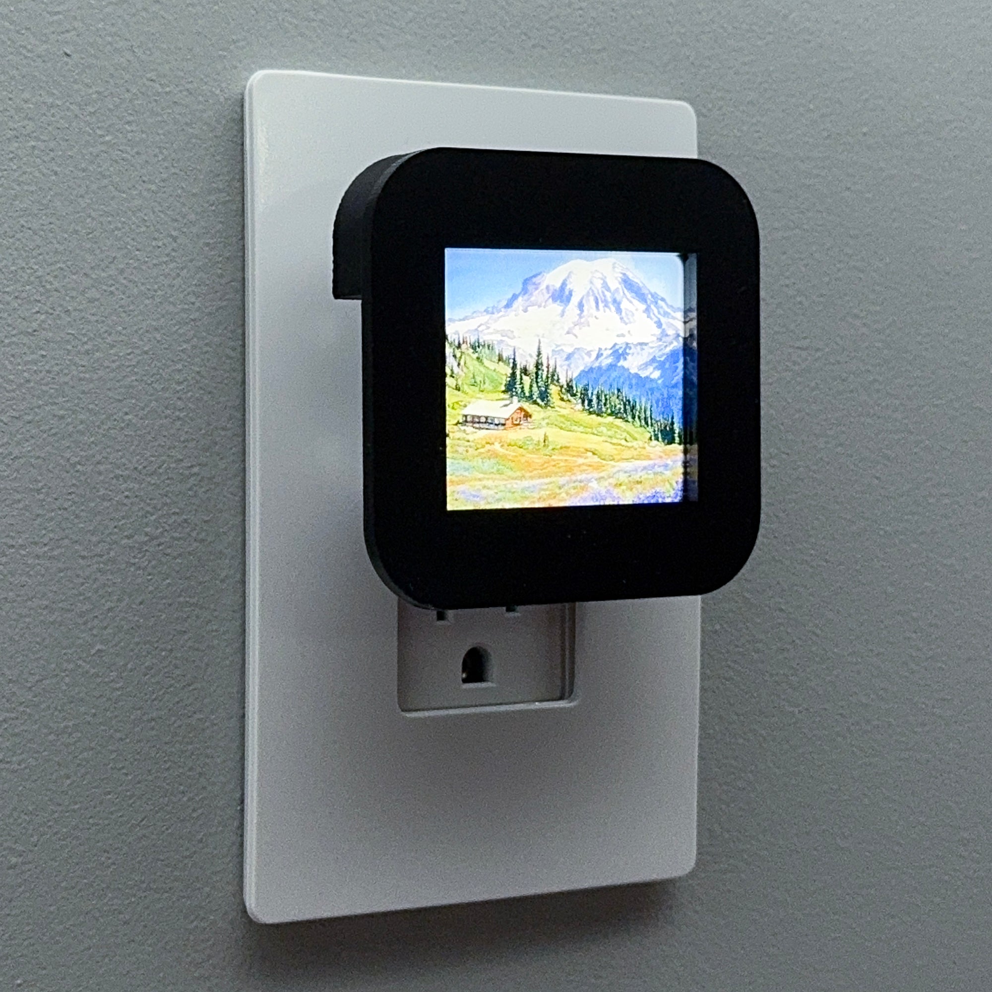 Mount Rainier National Park Night Light