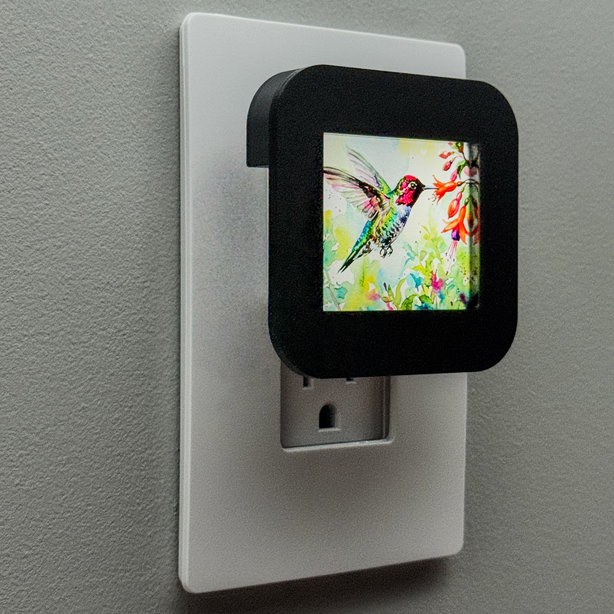 Watercolor Hummingbird Night Light Cover ONLY