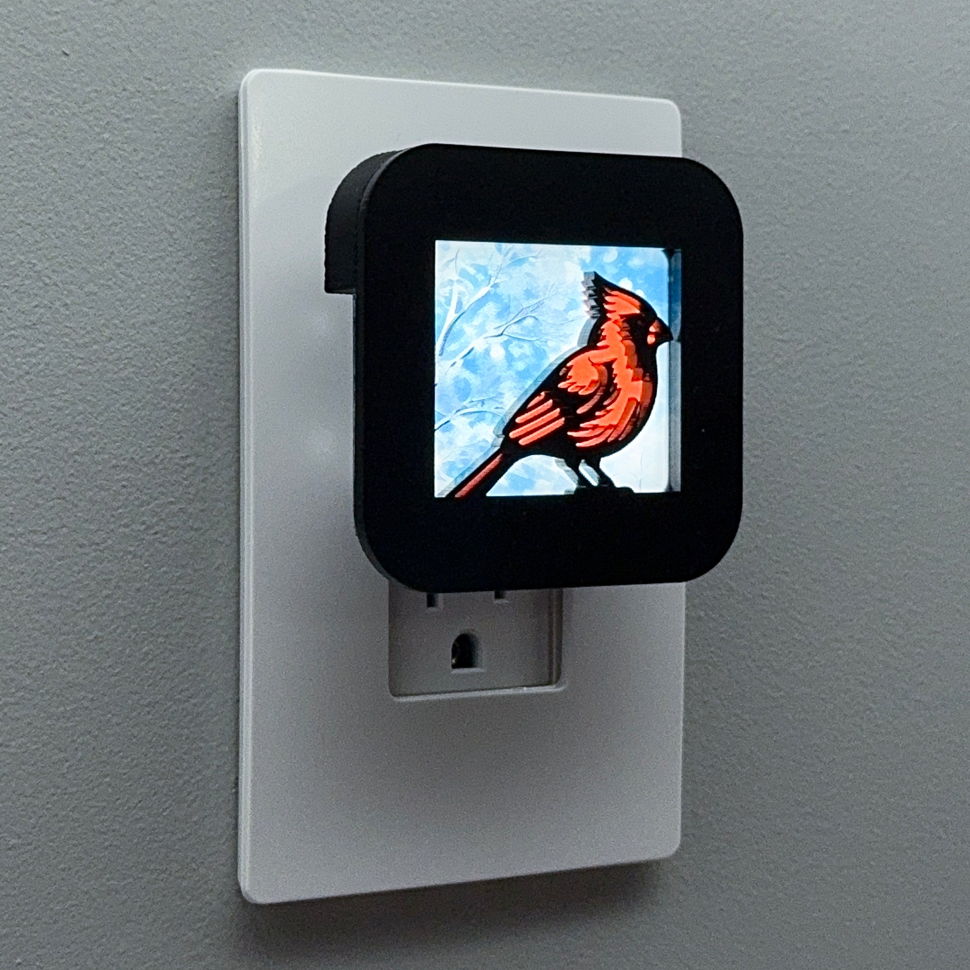 Red Cardinal in Winter Night Light