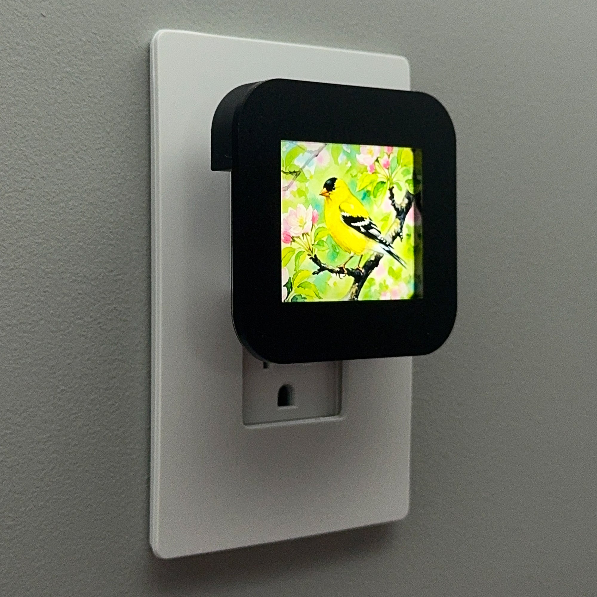 Goldfinch Night Light