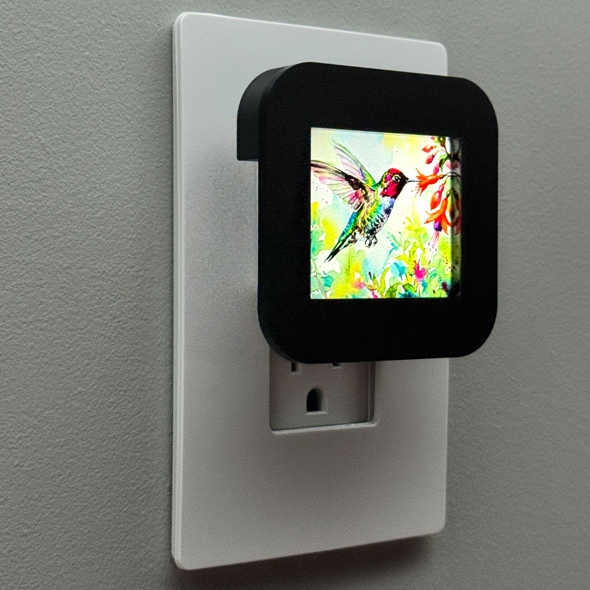 Watercolor Hummingbird Night Light